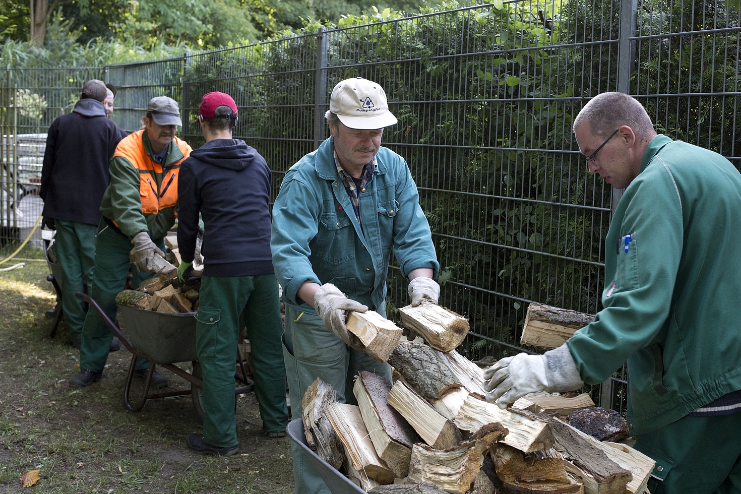 Foto: 6 Männer verladen Holz in Schubkarren